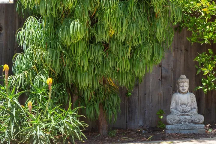 2214 Curtis St, Berkeley, California 94702