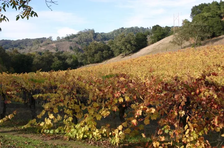 6790 Redwood Retreat Road, Gilroy, California 95020