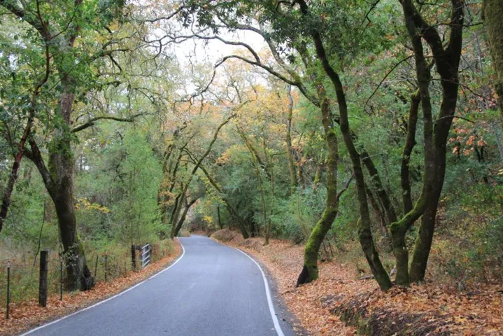 6790 Redwood Retreat Road, Gilroy, California 95020