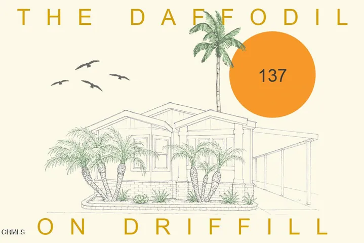 The-Daffodil-on-Driffill
