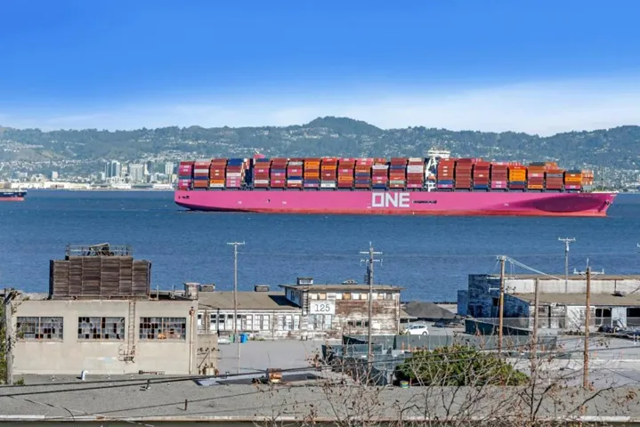 501 Hudson Avenue 304, San Francisco, California 94124