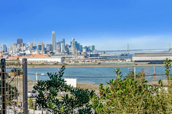 501 Hudson Avenue 304, San Francisco, California 94124