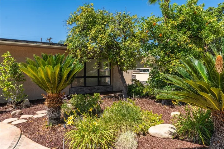 1244 W Highland, Redlands, California 92373