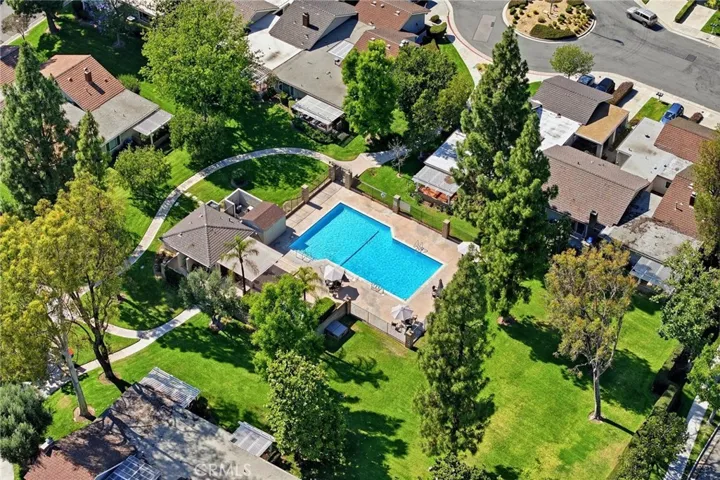 Pool is surrounded by green everywhere