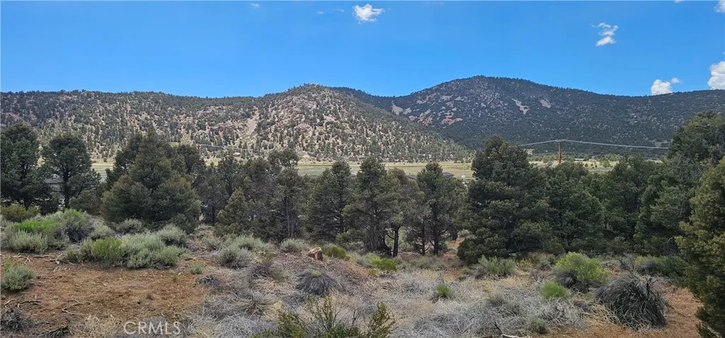 0 Baldwin Lake Road, Big Bear City, California 92314 — photo 4