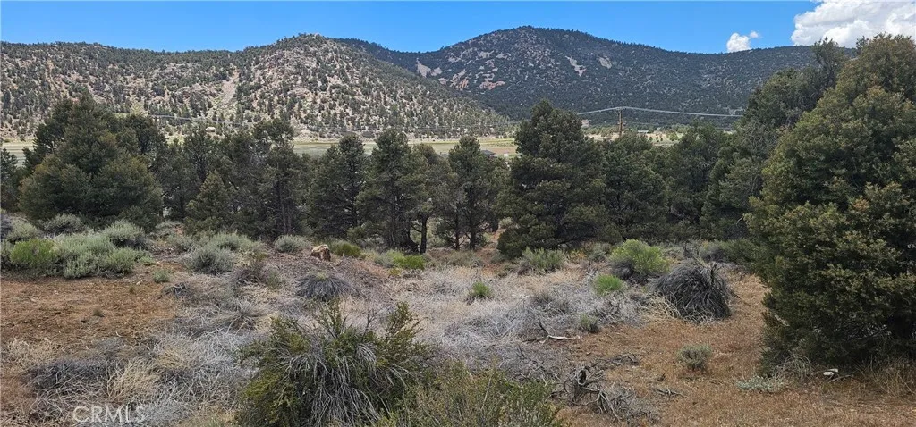 0 Baldwin Lake Road, Big Bear City, California 92314 — photo 5