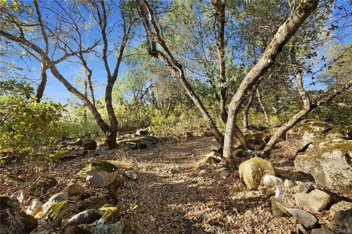 0 Swedes Flat, Bangor, California 95914