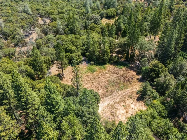 7859 Reed, Oroville, California 95966 — photo 5