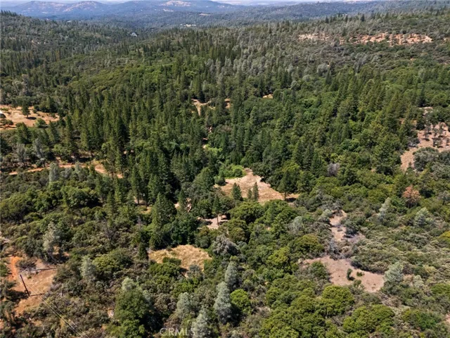 7859 Reed, Oroville, California 95966 — photo 4