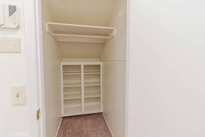 Storage closet under stairwell