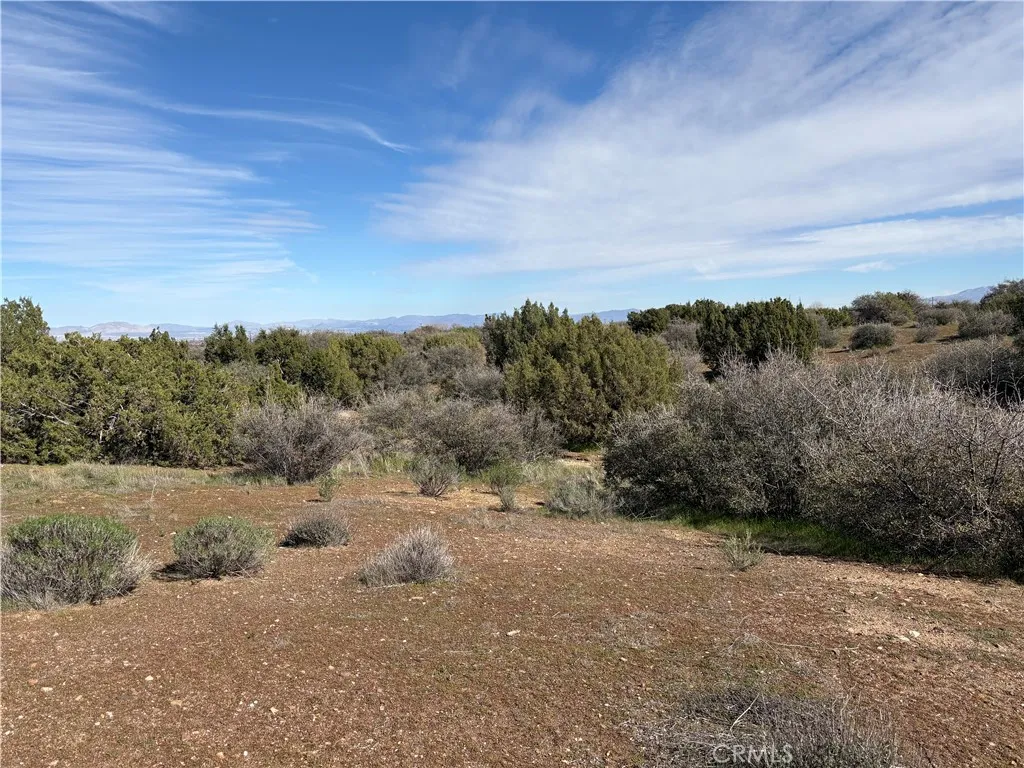 8350 Cedar, Phelan, California 92371 — photo 4