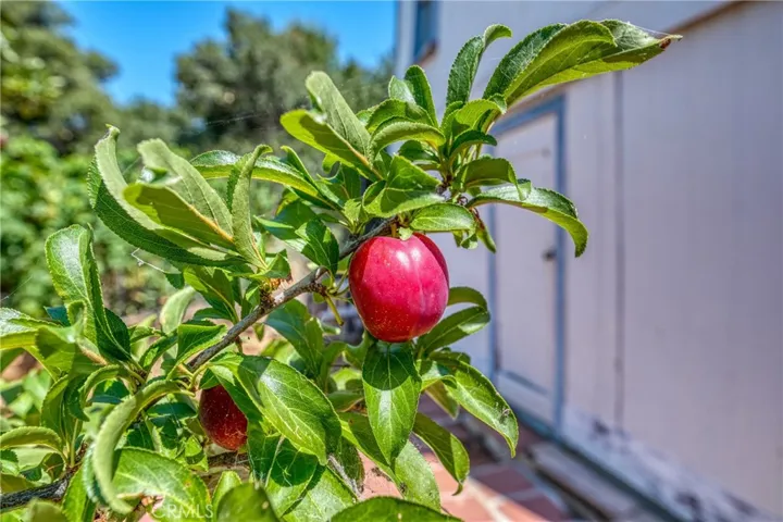 9175 Glenhaven, Glenhaven, California 95443