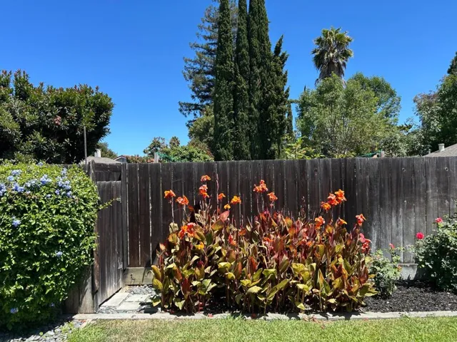 6706 San Anselmo Way, San Jose, California 95119