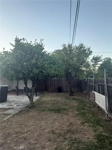 Rear yard with fruit trees