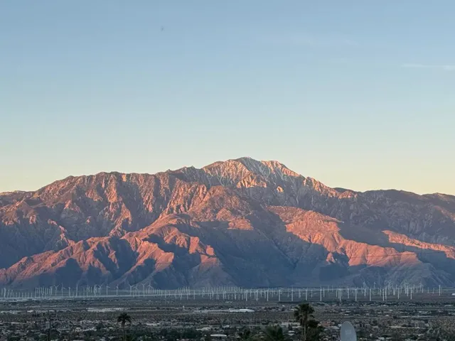 View From Back Yard