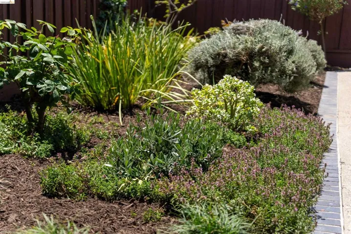 Landscaped garden bed featuring diverse plantings, wood chip ground cover, and a paver border