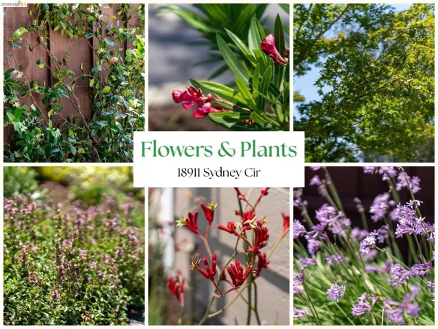 Marketing Material, Property Address. Highlighting various plant species present on the property