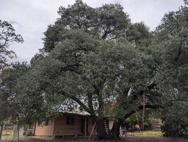 4508 Olive Highway, Oroville, California 95966