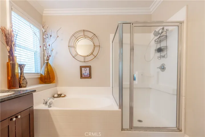 Master Bath Tub and Shower Separate
