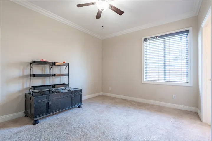 Bedroom view-Carpet in Bedrooms