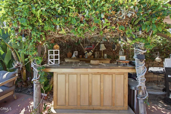 Backyard Tiki bar