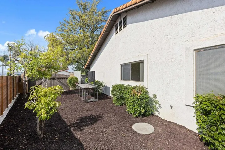 side yard with lemon tree