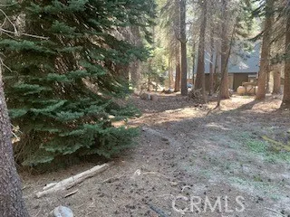 DO YOU SEE THE CABIN ON THE NEIGHBORS  LOT NEXT DOOR?