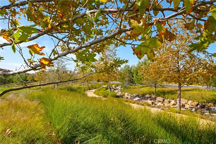 86 Mayfair, Irvine, California 92620