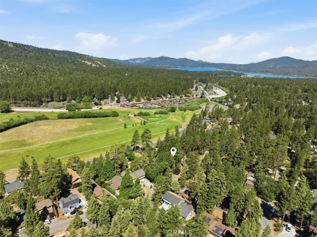 Elevated view of the cabin’s setting among mature trees near nearby open space.