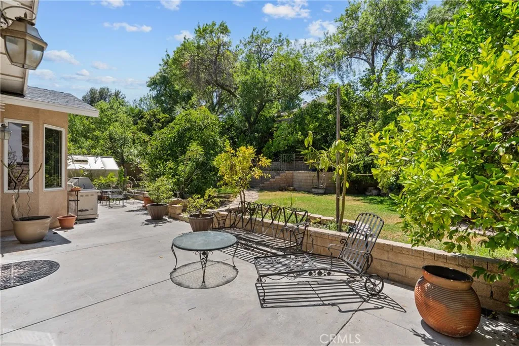 Backyard with lots of fruit trees.