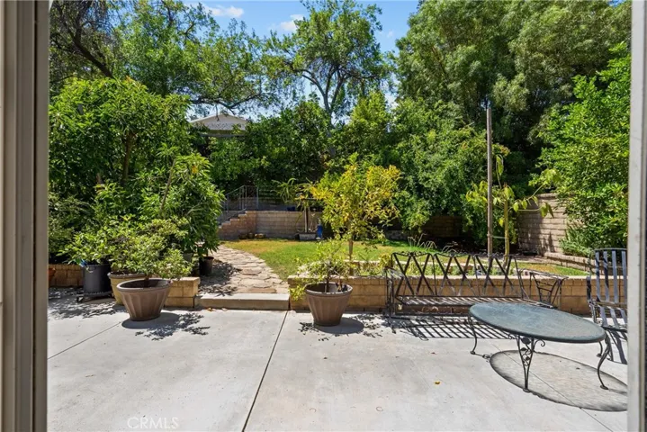Backyard with fruit trees!
