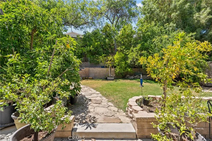 Backyard with walkway through fruit trees.