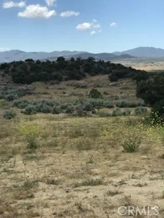 56965 Ca-371, Anza, California 92539