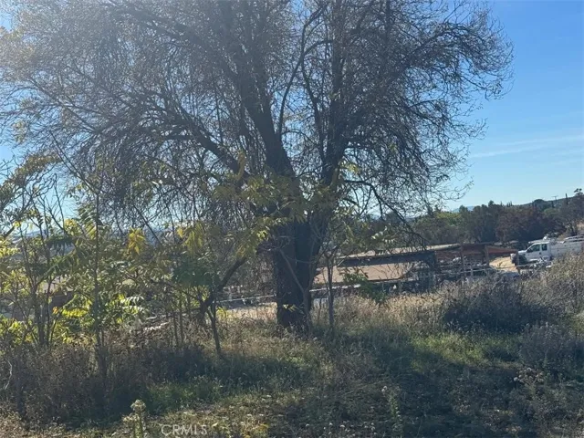 56965 Ca-371, Anza, California 92539