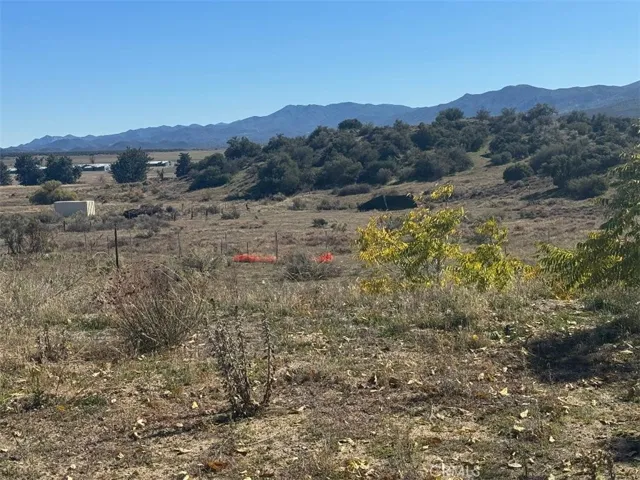 56965 Ca-371, Anza, California 92539