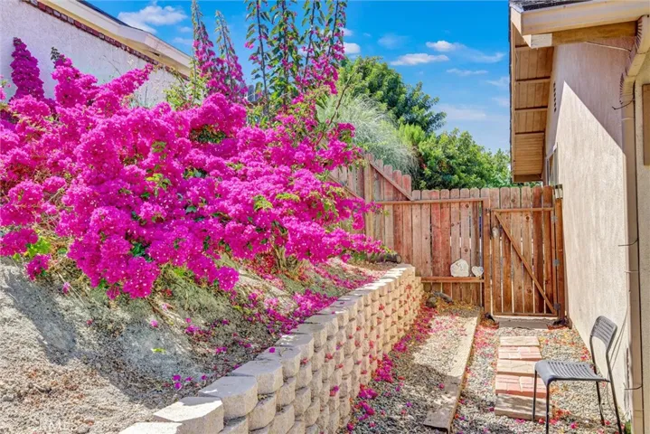 Side access to the massive backyard