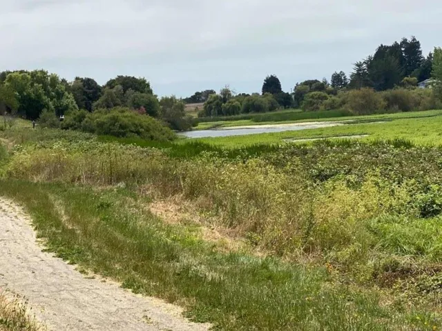Struve Slough nature walk park