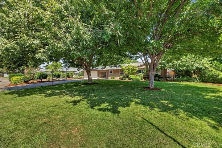 602 Reed Park, Chico, California 95926