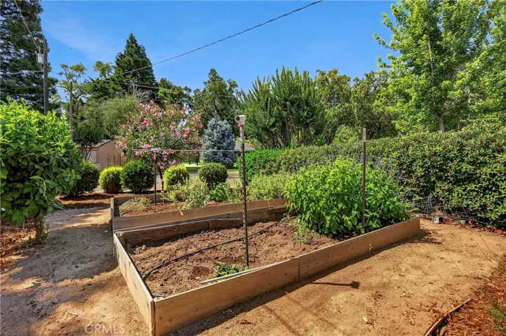 602 Reed Park, Chico, California 95926