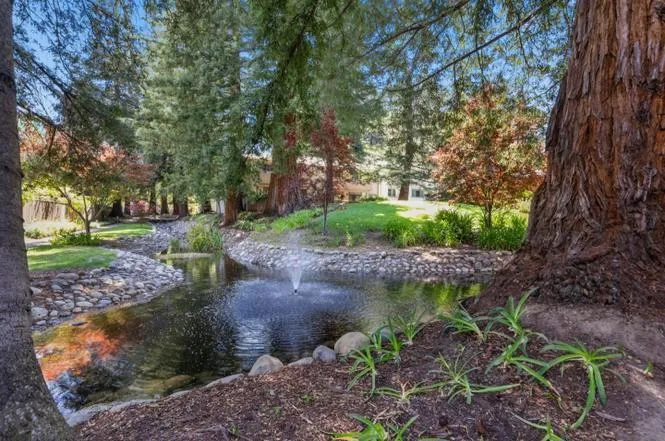 20760 4th Street 11, Saratoga, California 95070