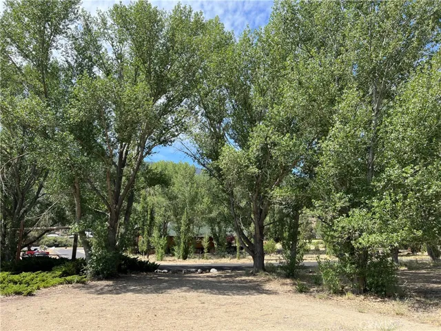 2608 Beechwood Way, Pine Mountain Club, California 93222 — photo 5