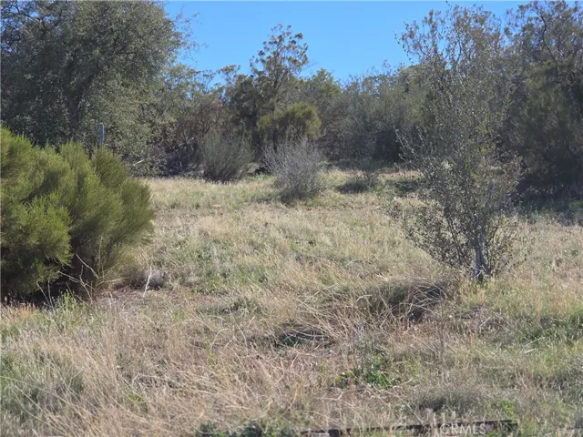 0 Taron Trail, Anza, California 92539
