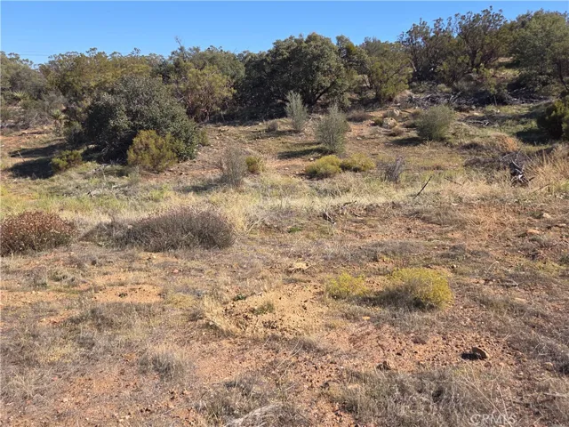 0 Taron Trail, Anza, California 92539