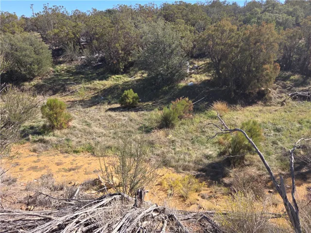 0 Taron Trail, Anza, California 92539