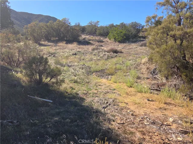 0 Taron Trail, Anza, California 92539