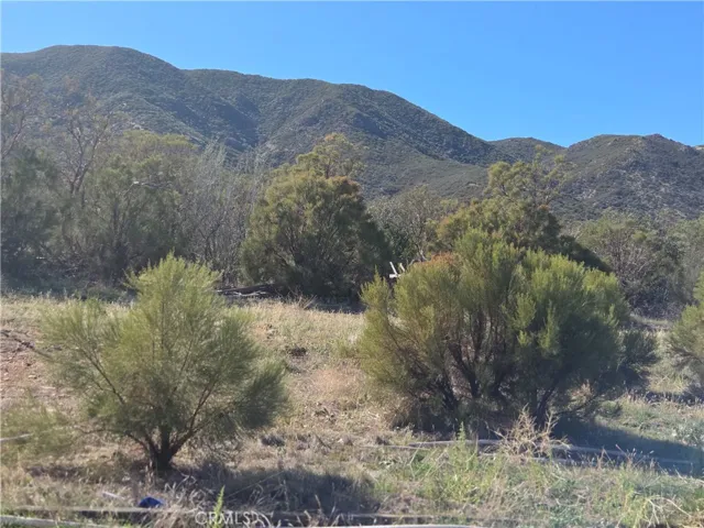 0 Taron Trail, Anza, California 92539