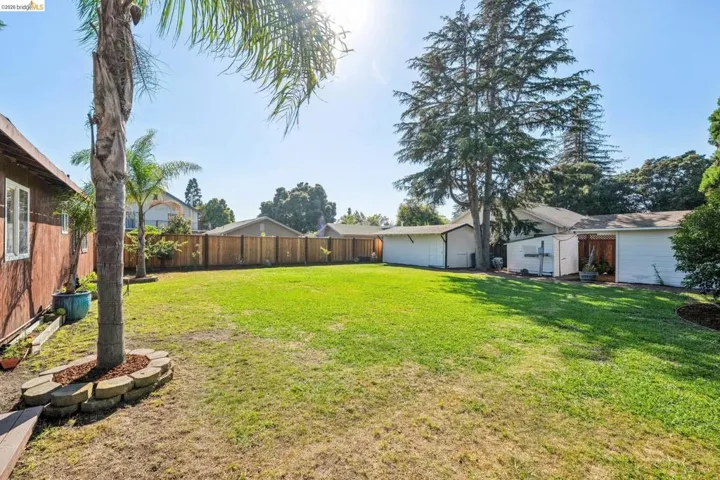 Expansive backyard featuring a large lawn, mature trees, wood privacy fencing, and two white storage structures