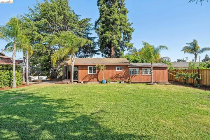 Expansive rear yard featuring a large grass lawn, mature palm trees, and a wooden fence
