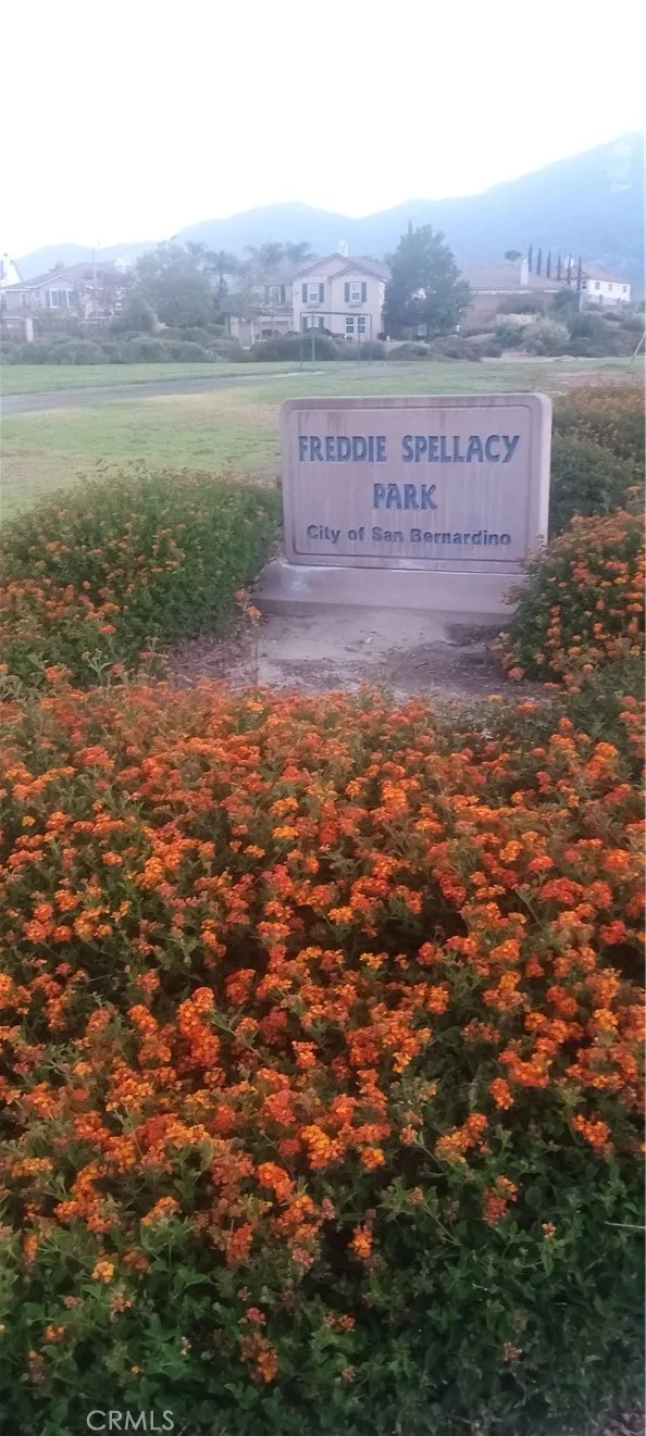 Freddie Spellacy Park