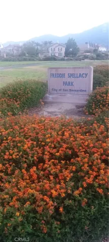 Freddie Spellacy Park